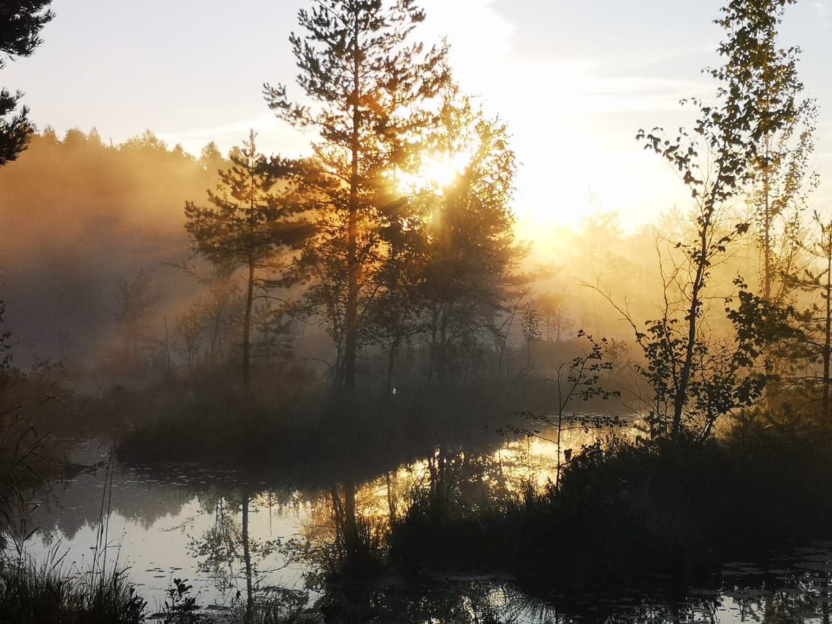 В четыре утра встали, чтобы рассвет пойти встречать на болото