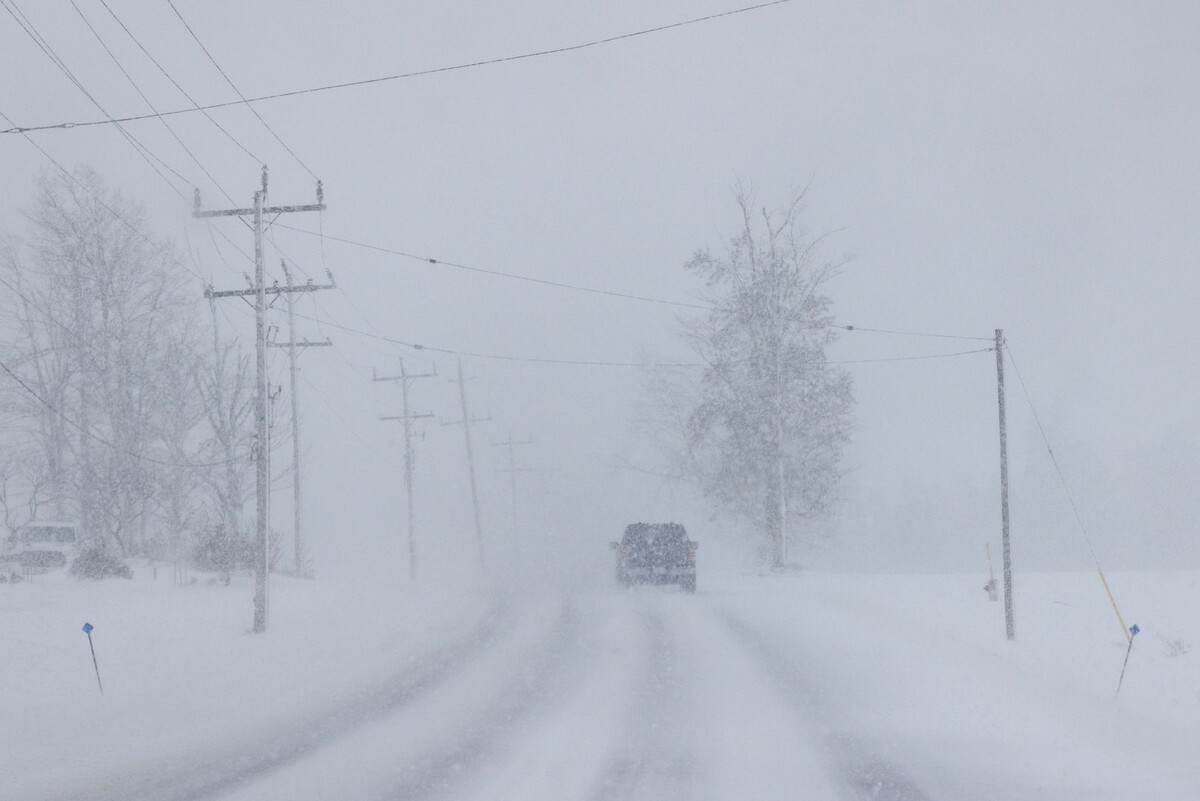     / Источник: © Global Look Press