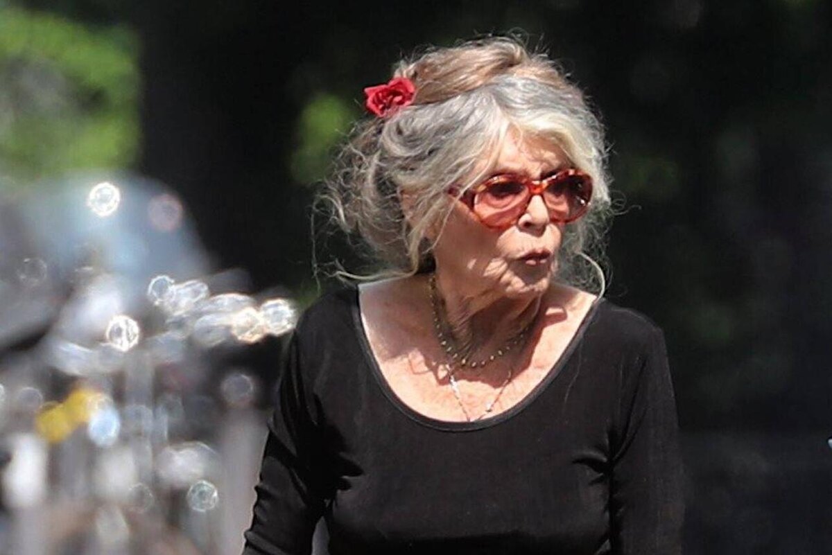    Брижит Бардо. © IMAGO/392484/globallookpress.com