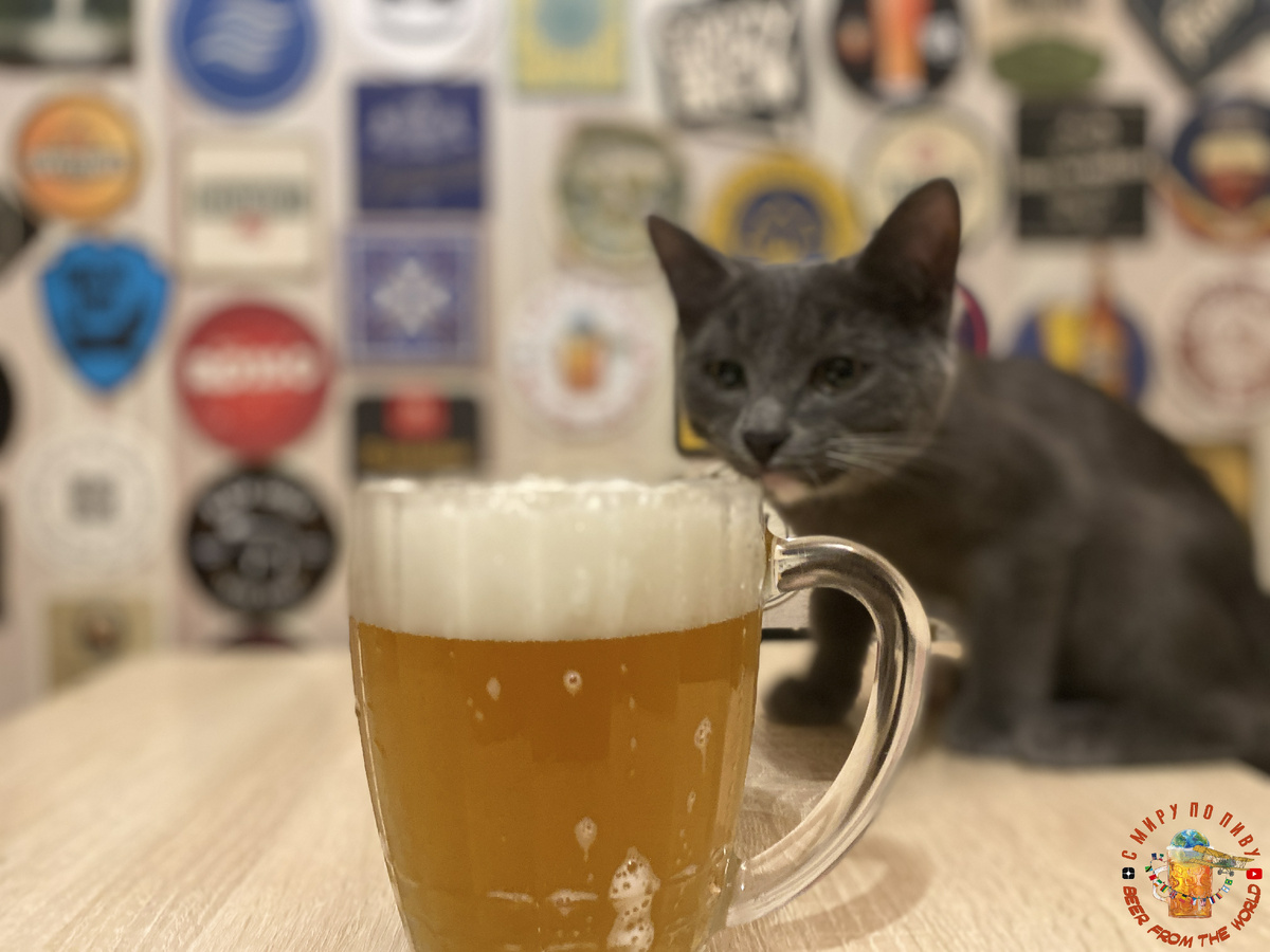 Пивной рейтинг Пивная Шляпа 2025