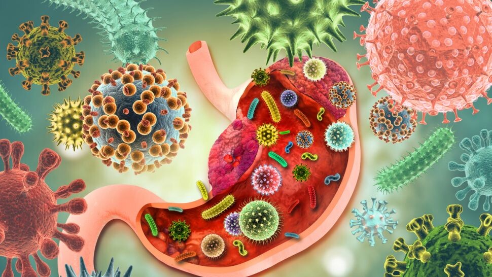 Как ваши близкие управляют вашим здоровьем через ваш кишечник 