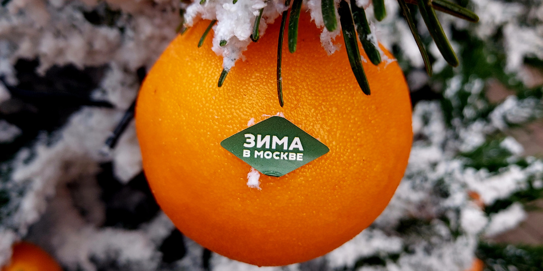 Новогодний маршрут – 2026 в Москве