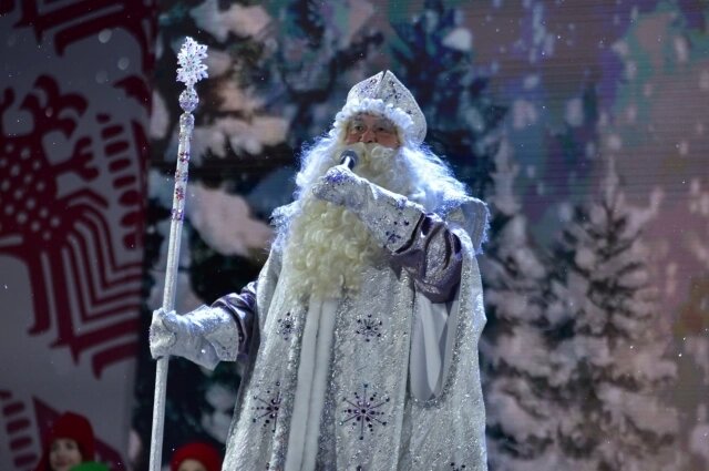    Резиденция Деда Мороза работает в Лесопарке, но в гости к нему можно прийти и в терем на Почтовой улице. Фото: Администрация Рязани