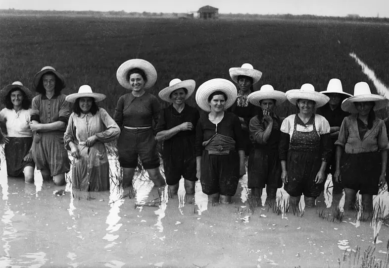 «Mondine al lavoro» (Работницы на прополке риса), изображение via Cultura del Riso.