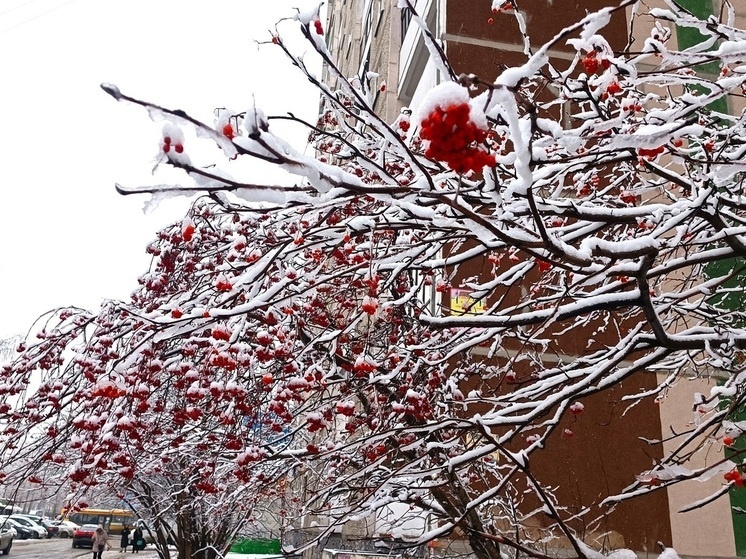     Фото: Николай Курилов / МК-Урал