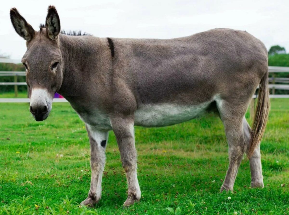 Фотография из интернета