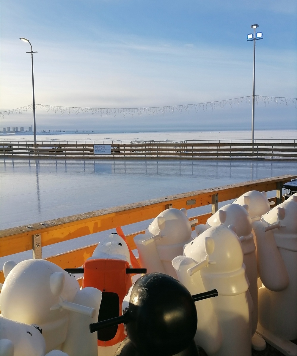 А вот и они - ждут своих наездников