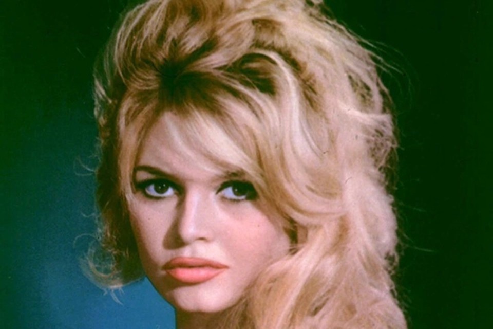    Адвокат Добровинский рассказал подробности личной жизни Брижит Бардо GLOBAL LOOK PRESS