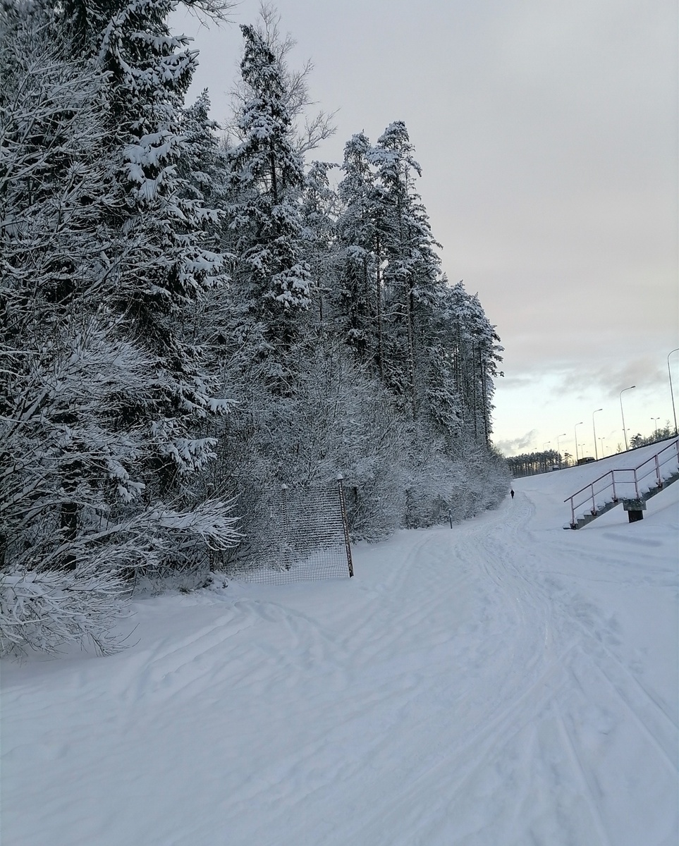 Ржевский лесопарк, Санкт-Петербург 