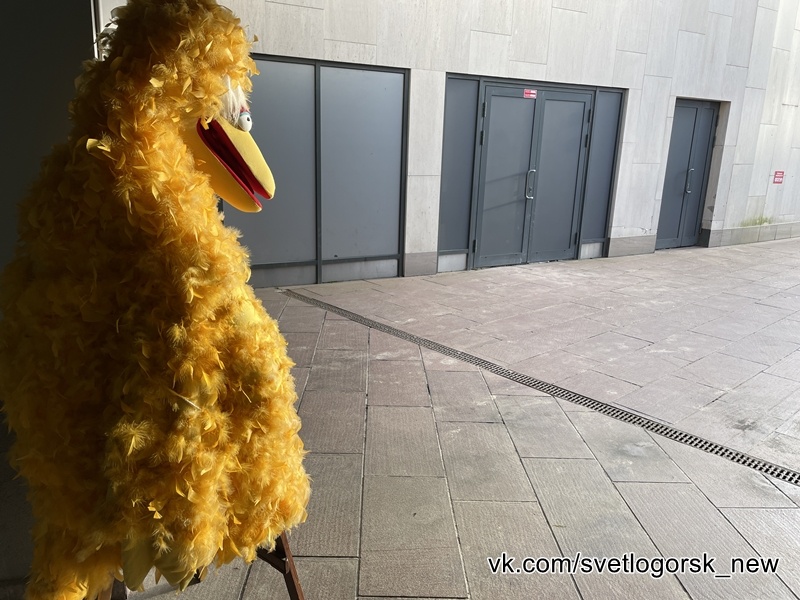 Новогоднее чудо-юдо в курортном Светлогорске