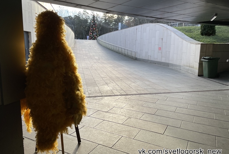 Даёшь 31 декабря курортному Светлогорску традиционного Деда Мороза! А не католика, который пляшет возле ёлки 25 декабря))