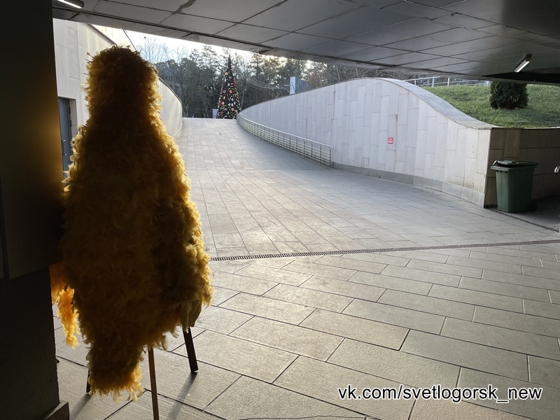 Новогоднее чудо-юдо в курортном Светлогорске
