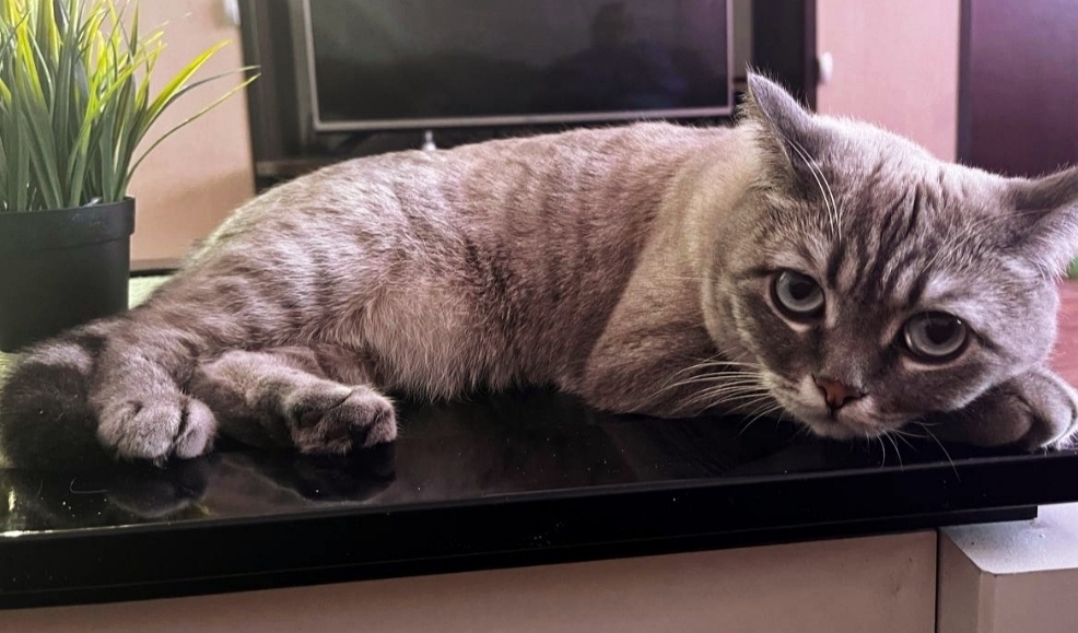 Фото автора 