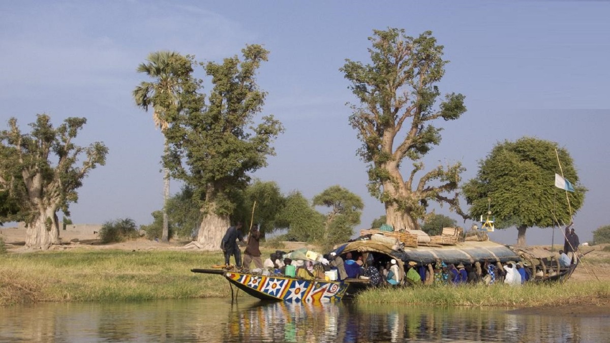 На реке Нигер