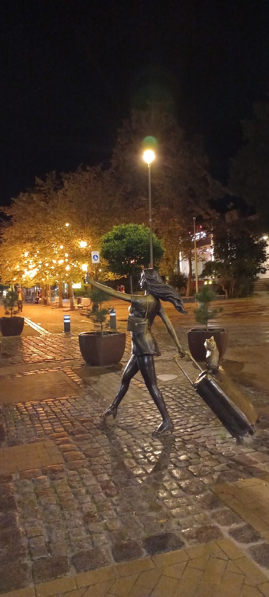 Ночной Зеленоградск