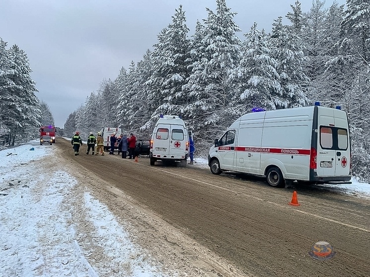     Россоюзспас Владимирской области