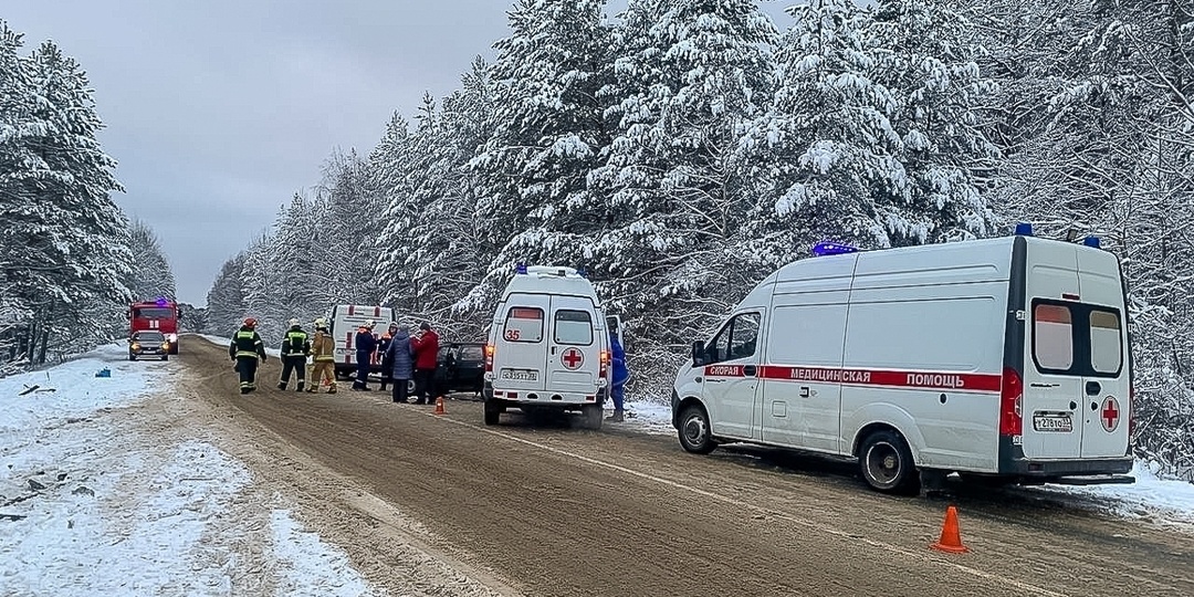 Появились подробности страшного ДТП с пострадавшими на владимирской трассе