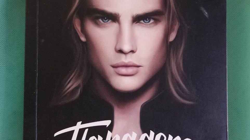 Отзыв на книгу "Парадокс Севера", автор В.Побединская