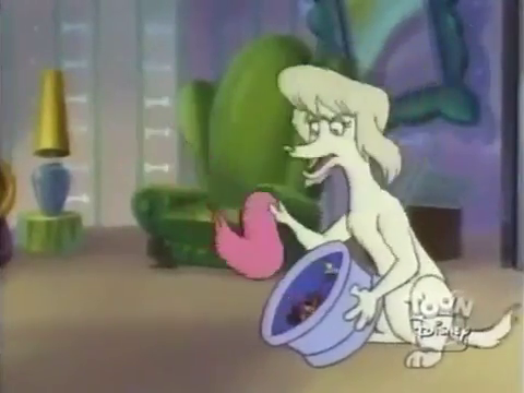 Заза Лабрадор