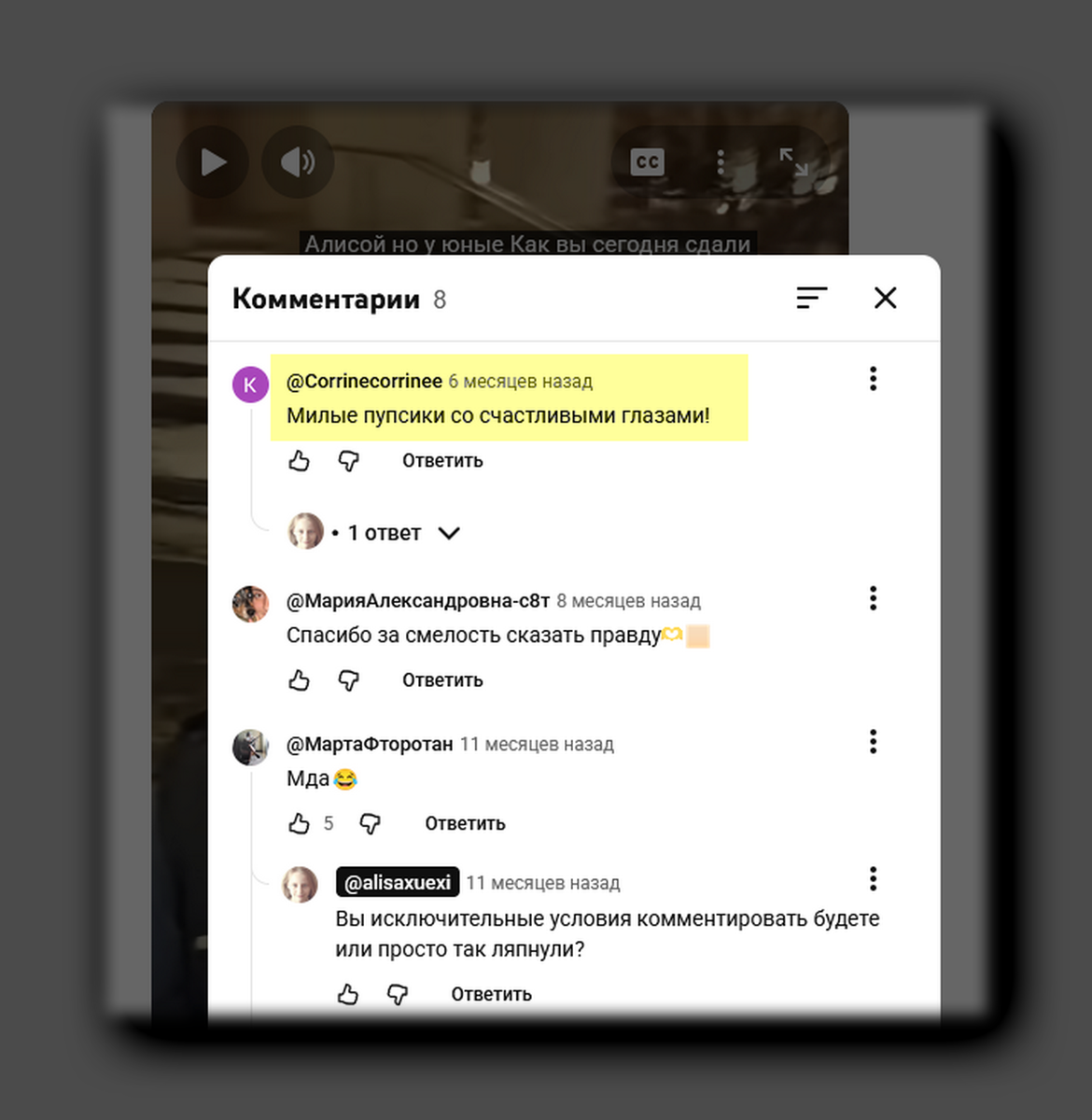 Скриншот youtube.com/@alisaxuexi