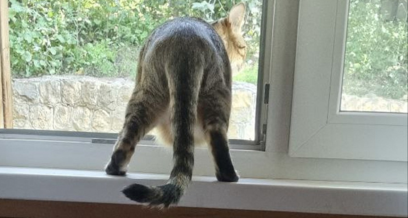    Фото Анастасии Дмитриевой