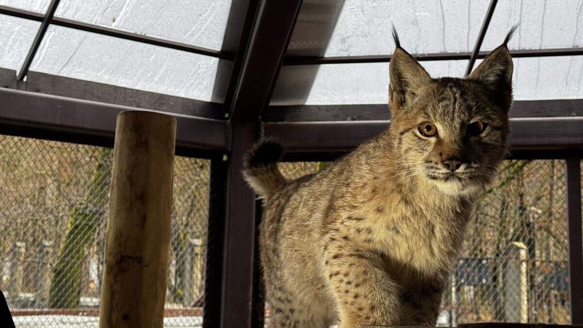    Фото: kavkazzapoved.ru