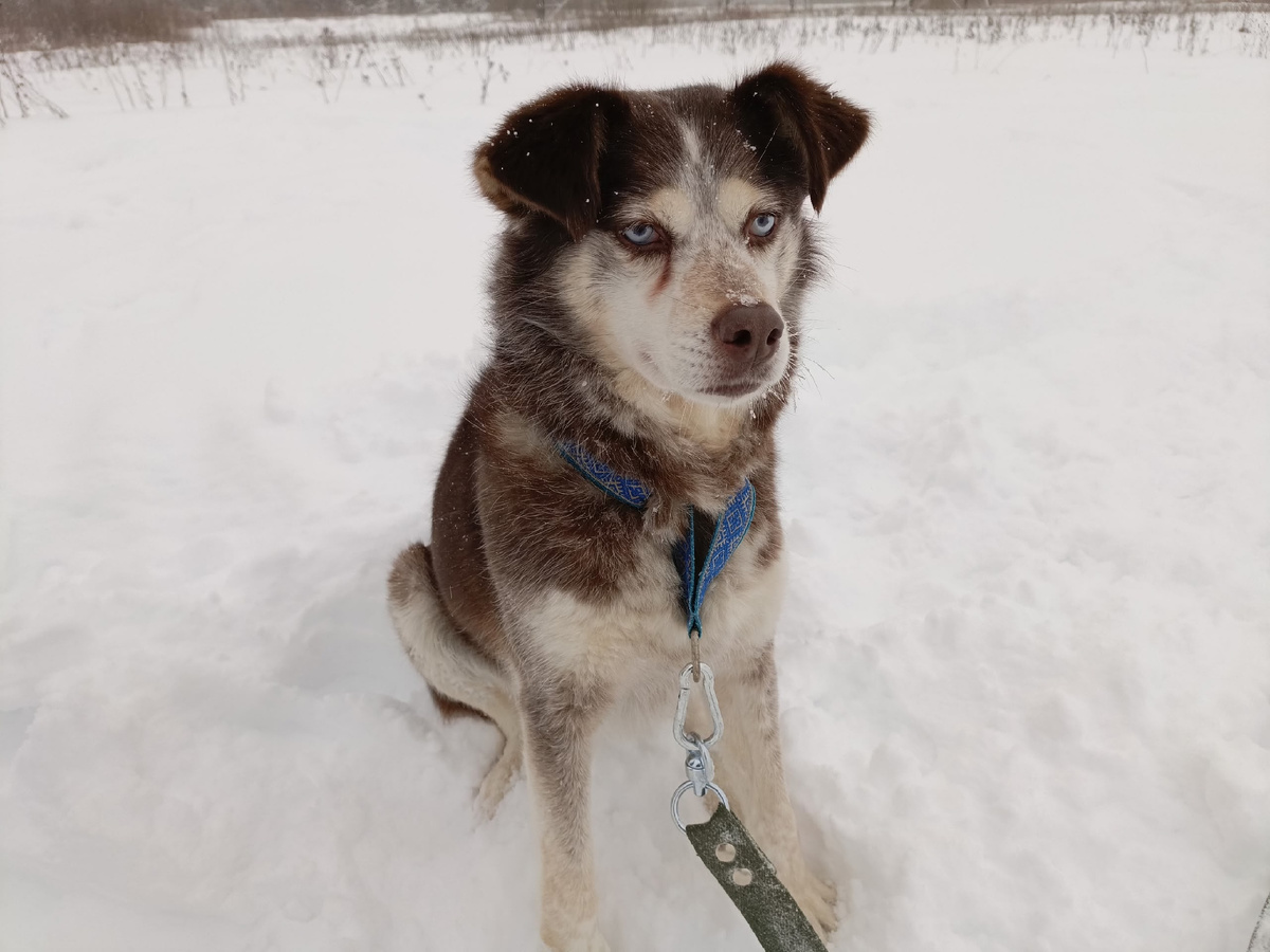 Красавица с небесно голубыми глазами 