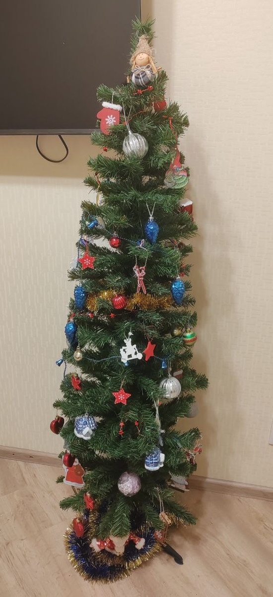 Наша елочка