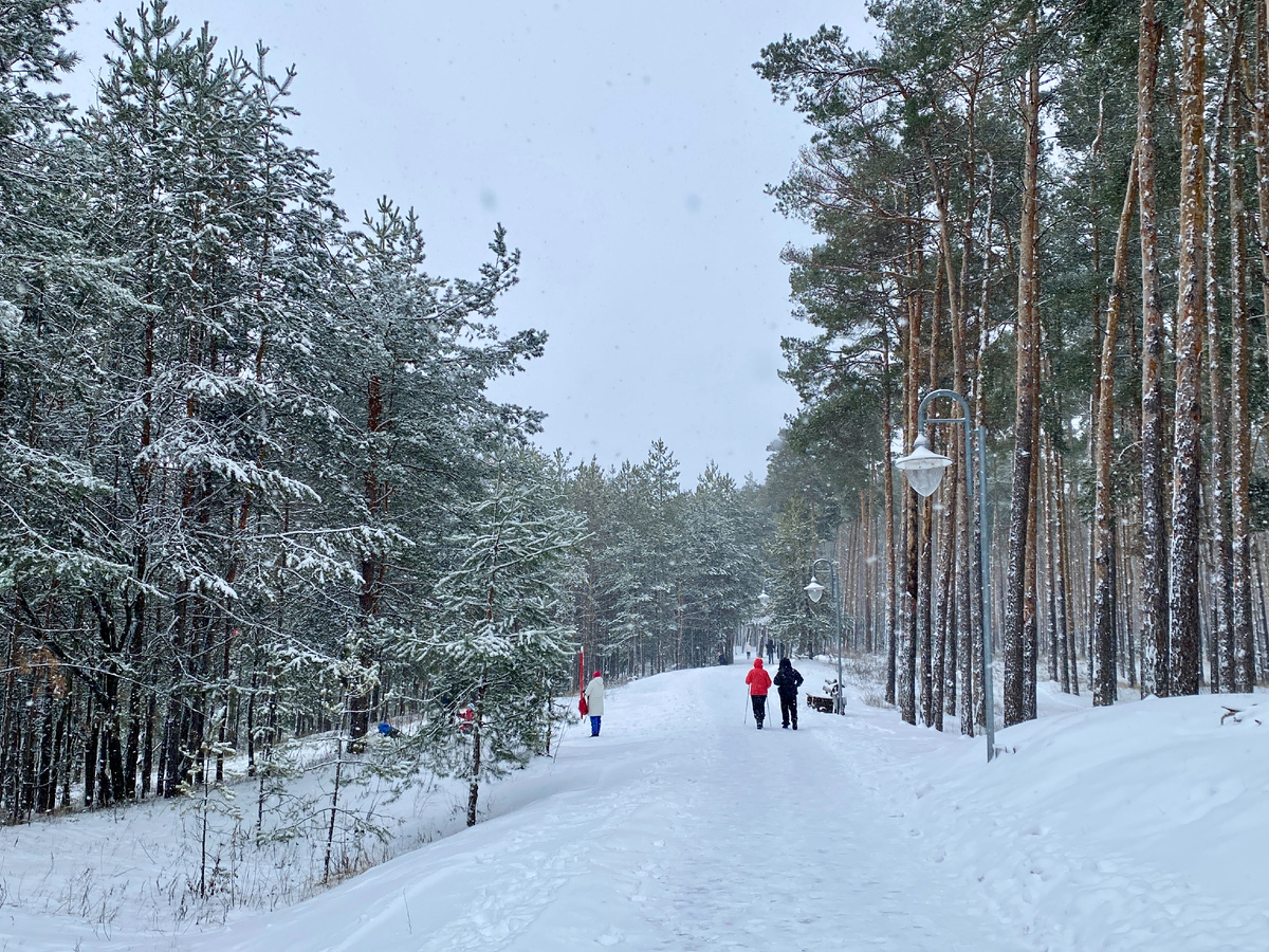 Зона отдыха на берегу Белгородского водохранилища