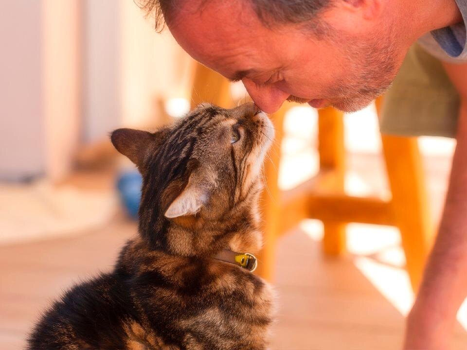    Фото: istockphoto.com/1001slide