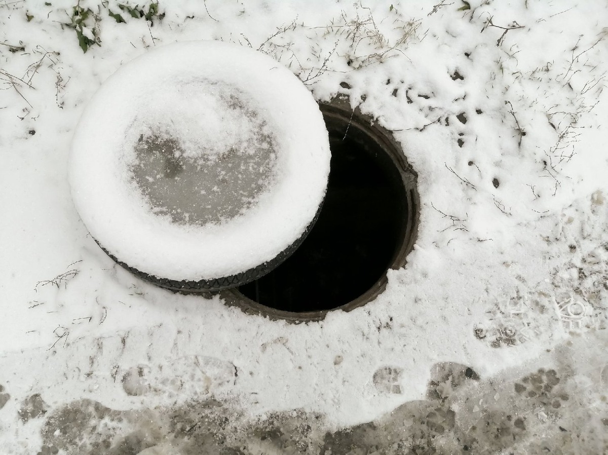    Фото: Istock/K1tyara