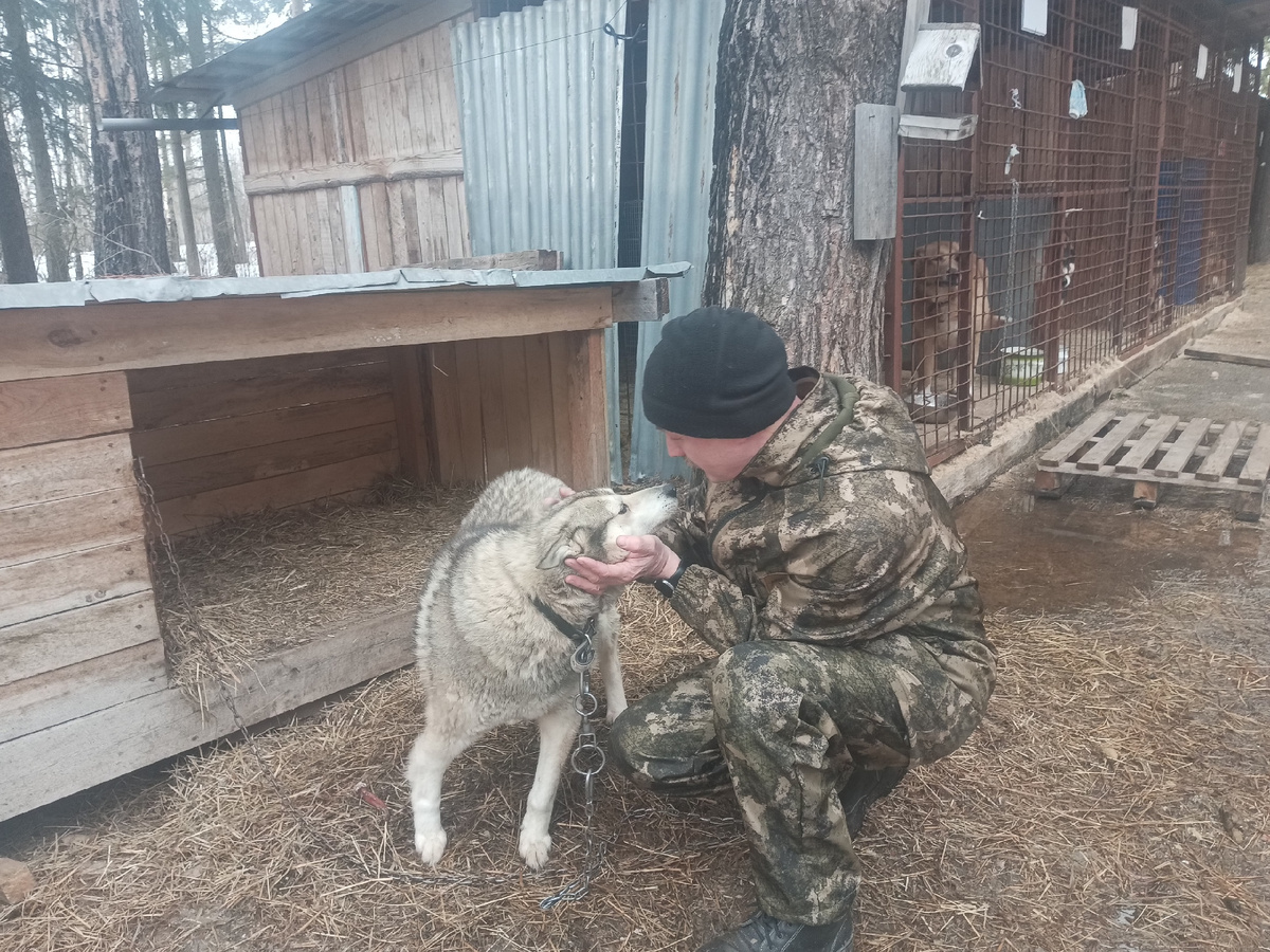 "Я за тебя жизнь отдам!" 💖