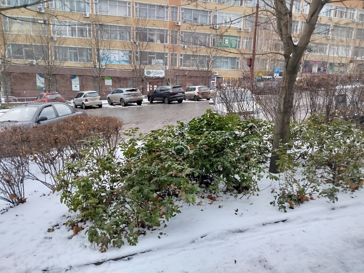 Клумбы на проспекте Ильича.