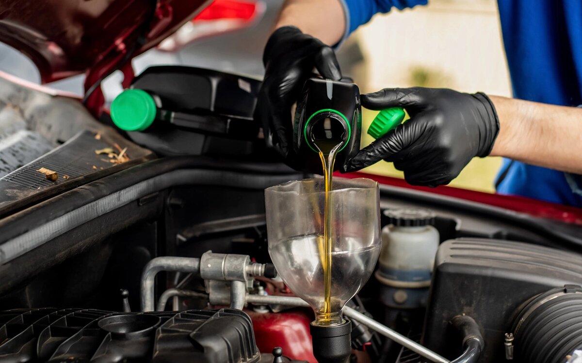 Фото: Daria Nipot / Shutterstock / FOTODOM