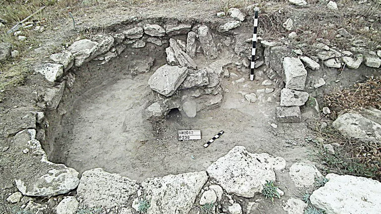 (источник: ria.ru)