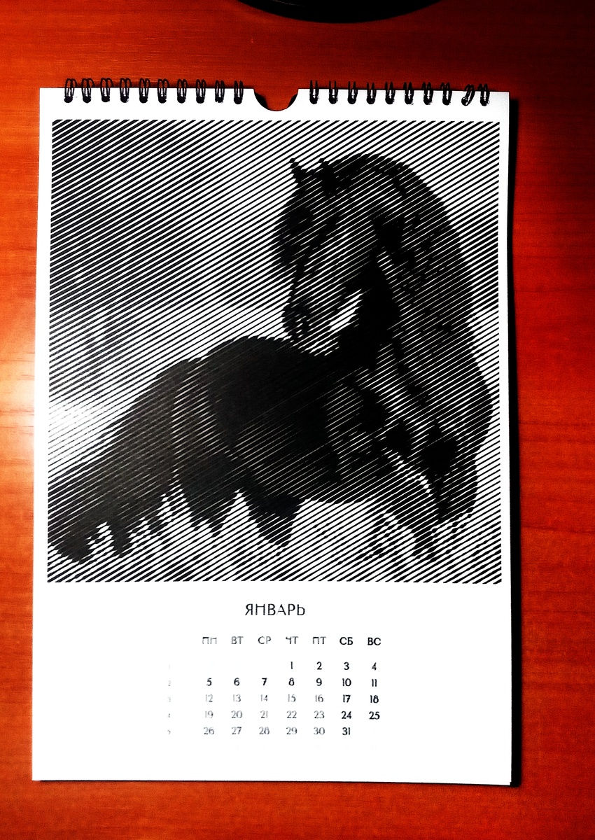 Январский вороной красавчик.