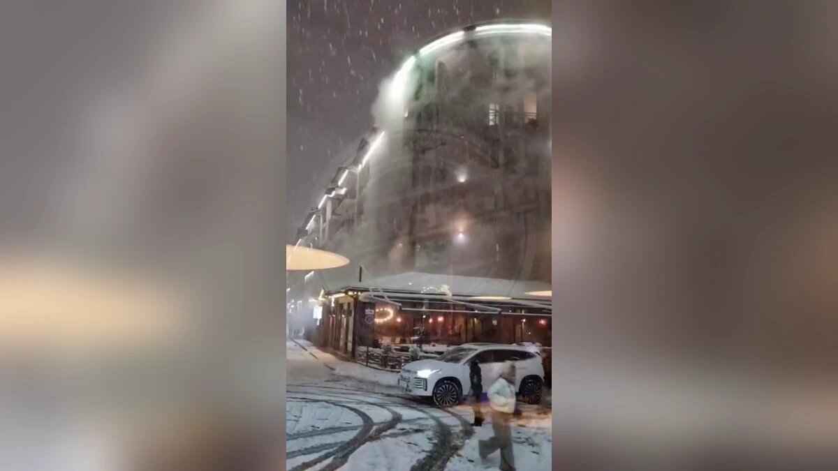    Фото t.me/sochitypical