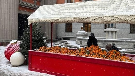 Фото автора заметки (2024 г)