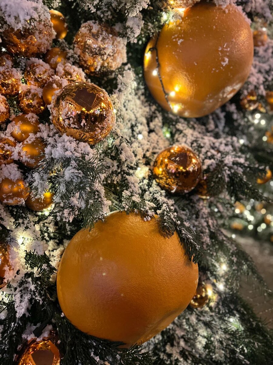 Мандариновое настроение на Арбате. Фото автора заметки