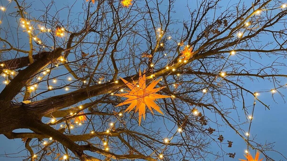 Фото: UfacityNews.ru