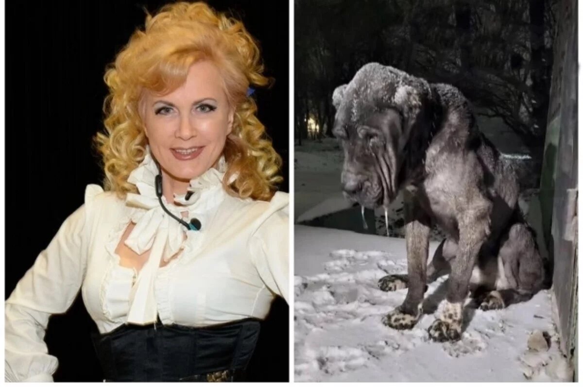    Истощена до костей.