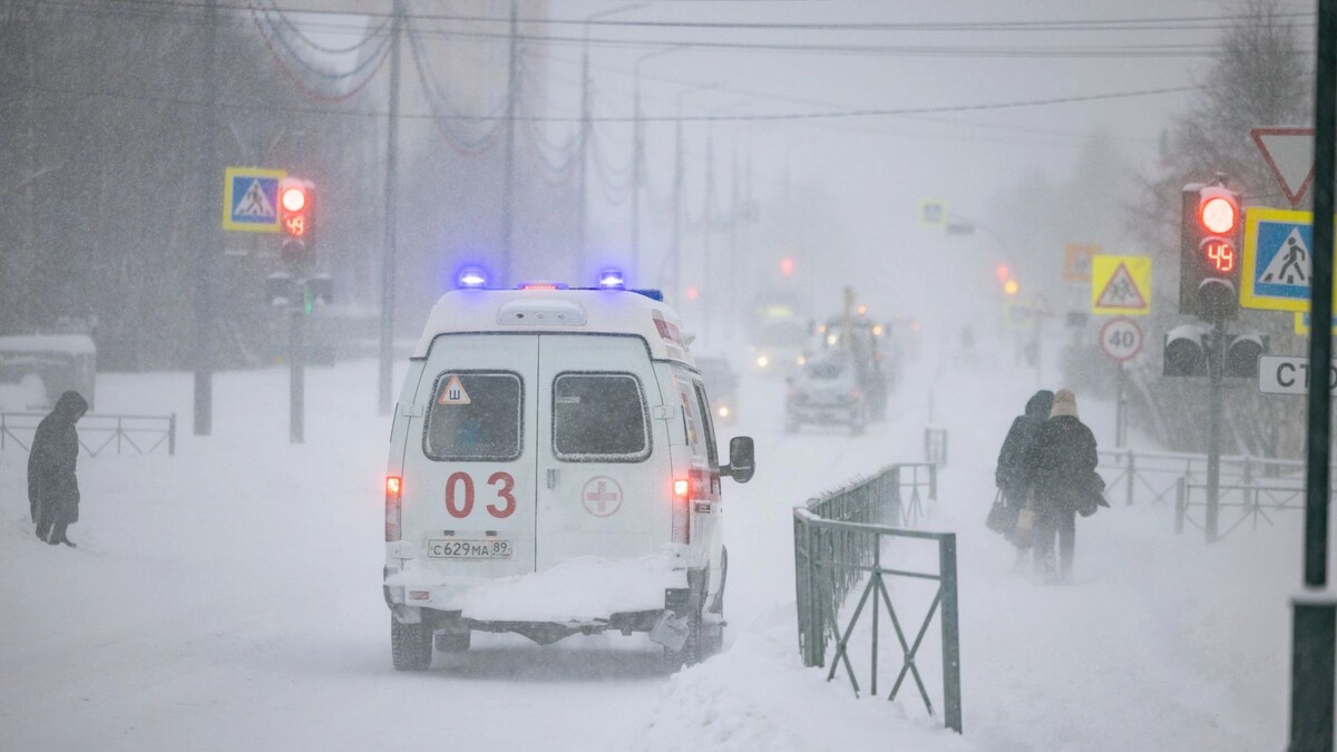   Фото: Сергей Зубков/«Ямал-Медиа»