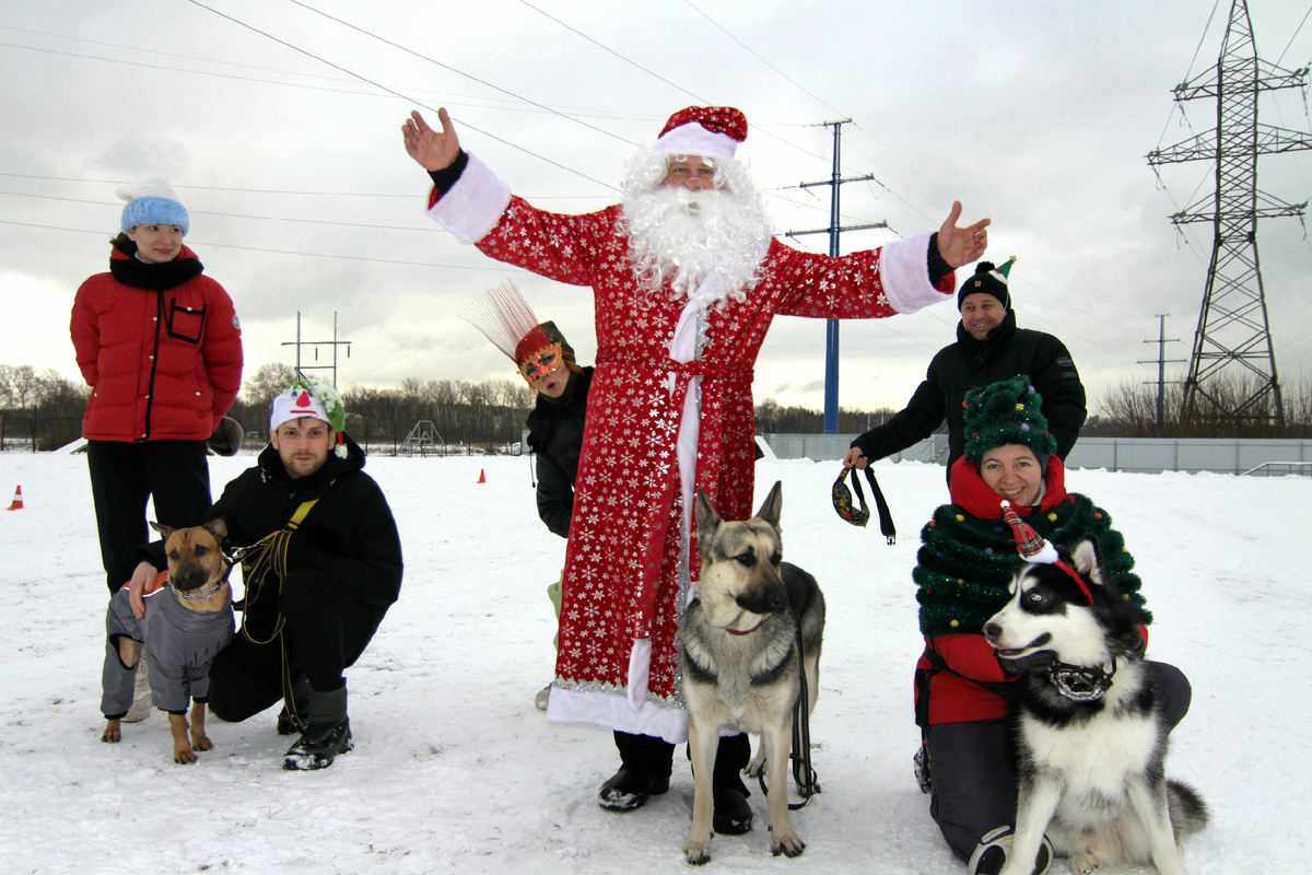 Новогодняя фотосессия в кинологическом центре "Атаман"
