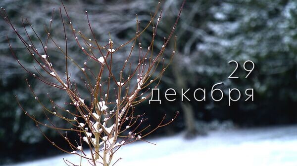    © Photo : Tristan Biesecker: Pexels