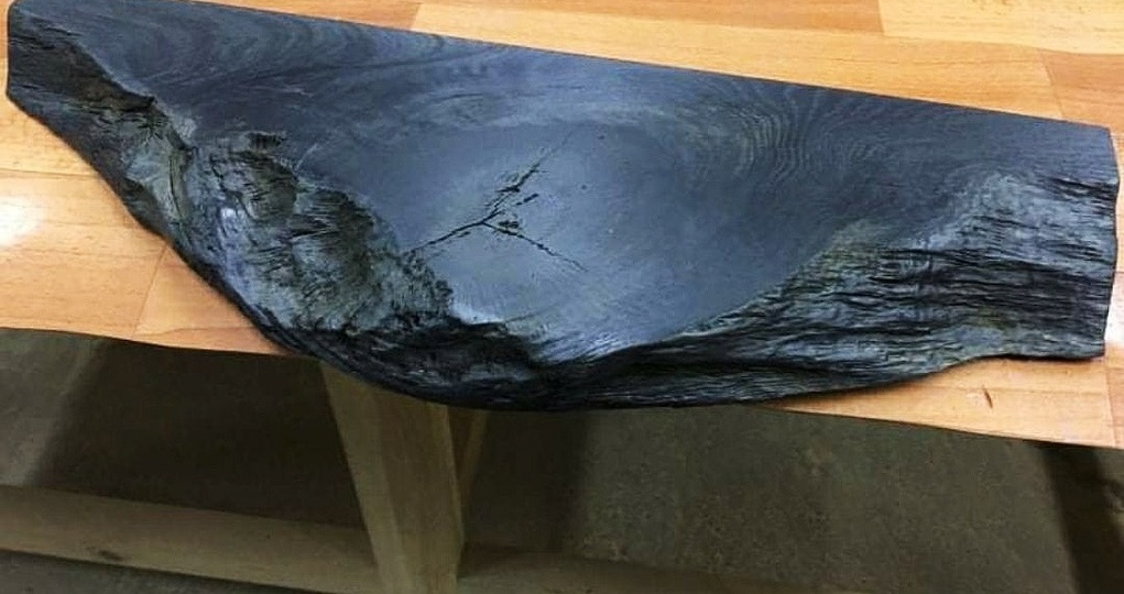 Чёрное золото Мордовии. На дне рек Мокша и Сура лежит 4 млн кубов леса, погибшего в неизвестной катастрофе