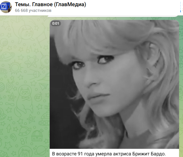    Фото: скриншот Telegram/"Темы. Главное (ГлавМедиа)"