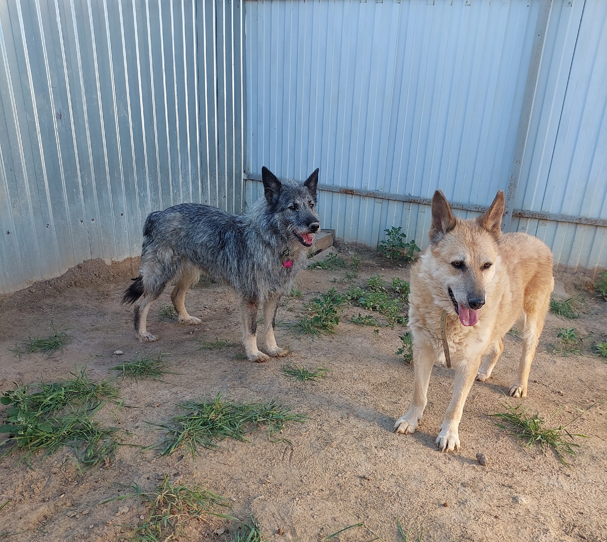 Кения 12 лет и Лилу 10 лет