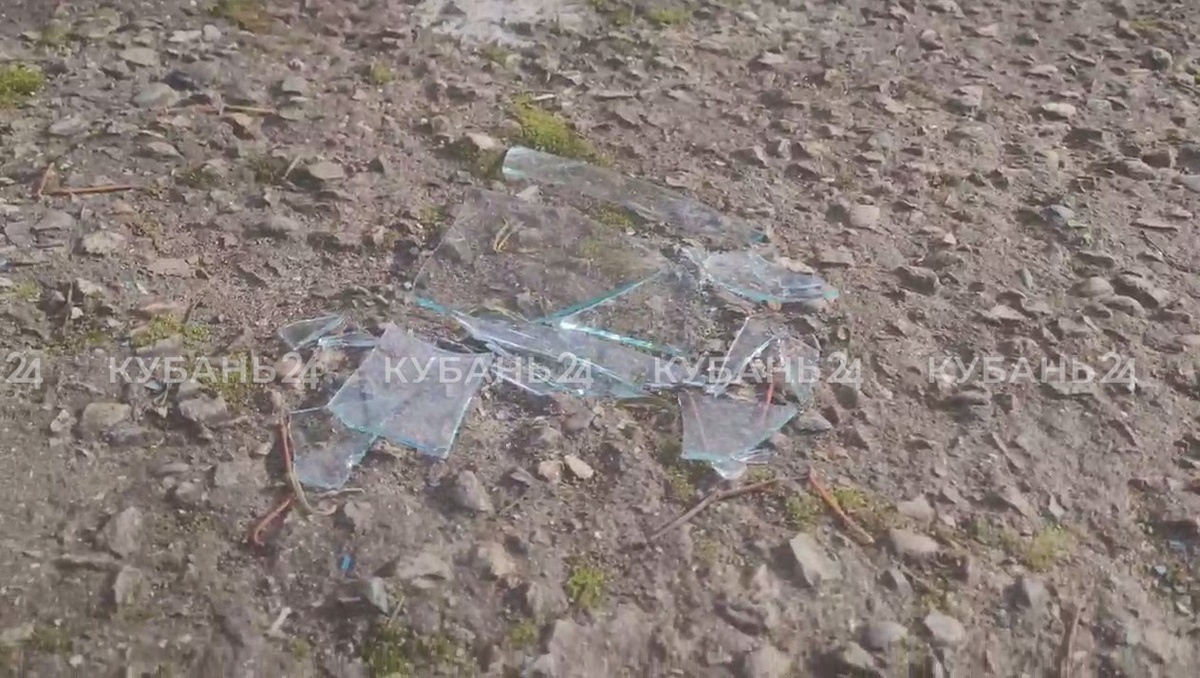    Фото «Кубань 24»