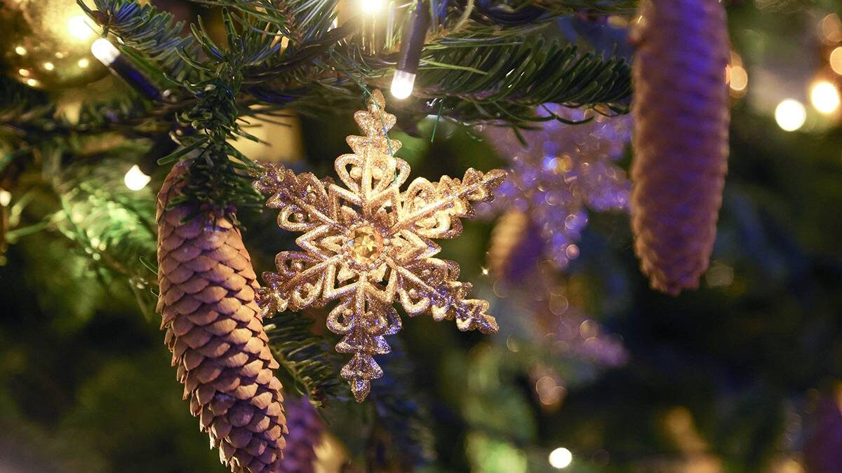    Фото: Дмитрий Белицкий / АГН Москва