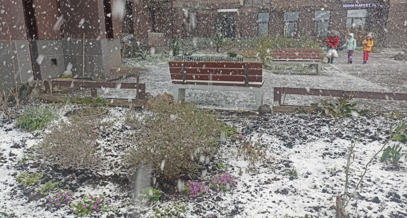    Фото из архива редакции